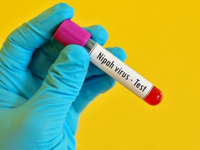 Nipha Confirmed In Kerala; 23 Year Old Youth Confirmed With Deadly Nipha Virus