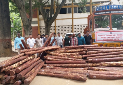 Karnataka: Central Crime Branch (CCB) says it has seized 9 tons of red sandalwood worth Rs 4.5 crores and arrested two persons in Bengaluru
