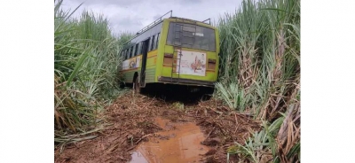 A bus with more than 30 passengers entered the sugarcane field!