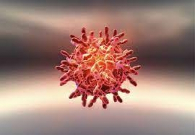 35 JN.1 virus infections in the karnataka