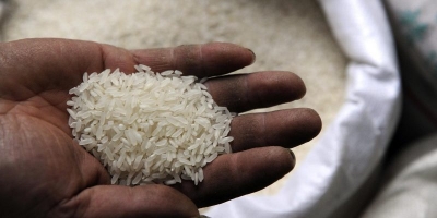 Cash instead of five kg rice: Govt decides to give ₹170 per month